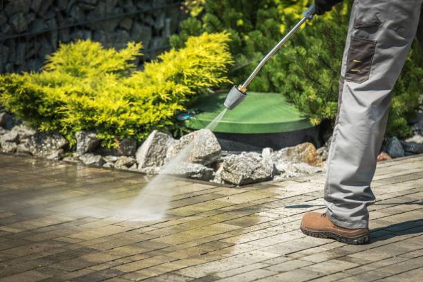 Best Dumpster Area Cleaning  in Sa Loma, CA